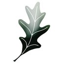 Oak Leaf Management company logo