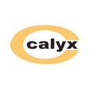 Calyx Chemicals &amp; Pharmaceuticals Ltd. company logo