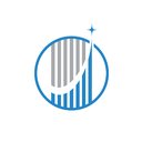 Life Surge company logo