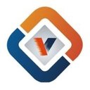Vexil Infotech company logo