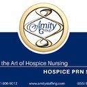 The Amity Group, Inc company logo