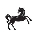Lloyds Banking Group company logo