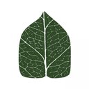 Groenpand company logo