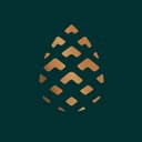 Niagara Outdoor Landscaping company logo