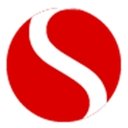 Solving Team Srl company logo