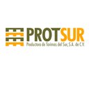 PROTSUR S.A DE C.V. company logo