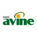 AVINE company logo