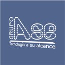 Grupo Ase company logo