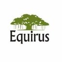 Equirus company logo