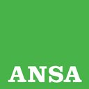 Ansa company logo