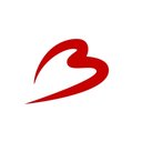 Brussels Airport company logo