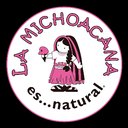 PALETERIA LA MICHOACANA company logo