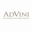 Advini company logo