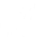 RST company logo