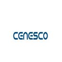 Cenesco GmbH company logo