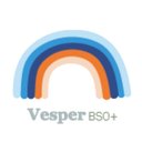 Vespercare B.V. company logo