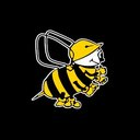 Beesley &amp; Fildes Ltd company logo