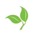 Caris HealthCare company logo