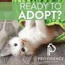Providence Animal Center company logo