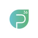 p36 GmbH company logo