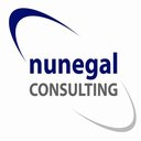 Nunegal Consulting company logo
