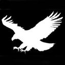 Eagle Sign Co. company logo