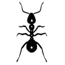 The Media Ant company logo