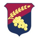 LD Carlson Company company logo