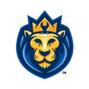 Service Lion Plumbing Heating Air Electric company logo