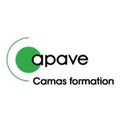 Camas Formation