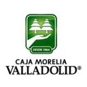 CAJA MORELIA VALLADOLID SC DE AP DE RL DE CV company logo