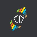 SIDAS company logo