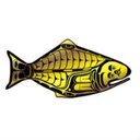 International Pacific Halibut Commission company logo