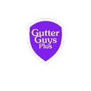 Gutter Guys Plus company logo