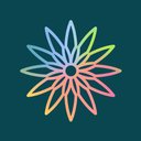 Daisy Chain Project company logo