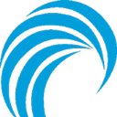 Tsunami USA company logo