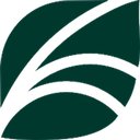 Spring Health company logo