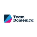 Team Domenica company logo