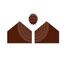 FRANKLIN WRIGHT SETTLEMENTS company logo