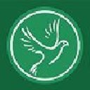 Evergreen Care company logo