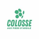 Association Colosse aux pieds d'argile company logo