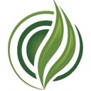 The Verdes Cannabis company logo