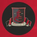 Essendon Football Club company logo