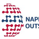 Napean India Outsourcing company logo