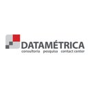 DATAMETRICA company logo