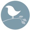 Eva Carlston Academy company logo