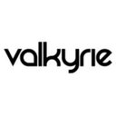 Valkyrie Trading company logo