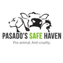 Pasado's Safe Haven company logo