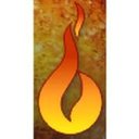 BORN company logo