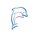 Shirley Swimming Pool company logo